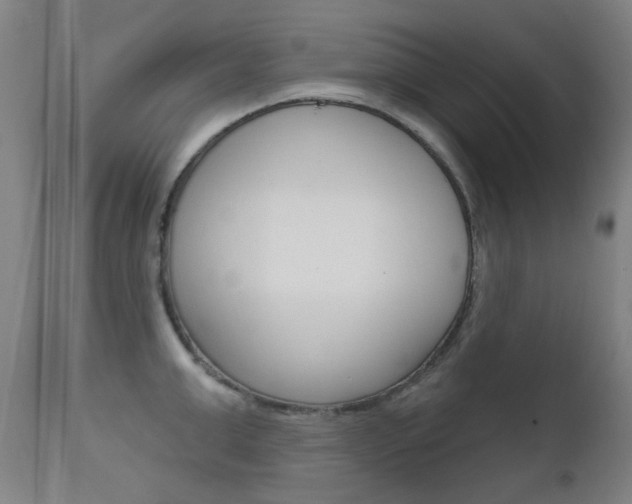 X0000111610999200907171036