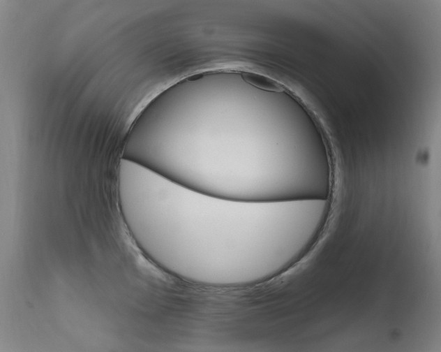 X0000111611001200907171036