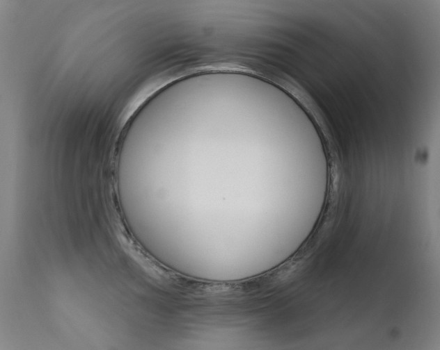X0000111611002200907171035