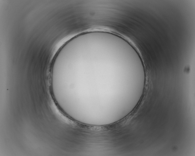 X0000111611003200907171035