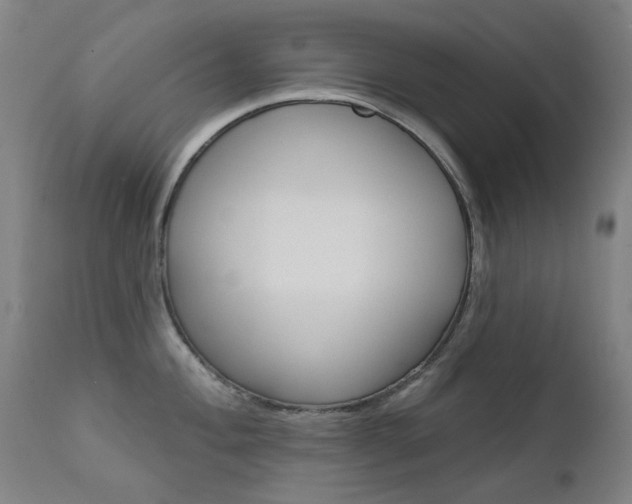 X0000111611004200907171035