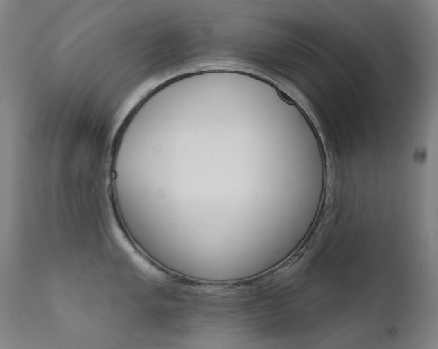 X0000111611005200907171035