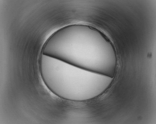X0000111611007200907171035