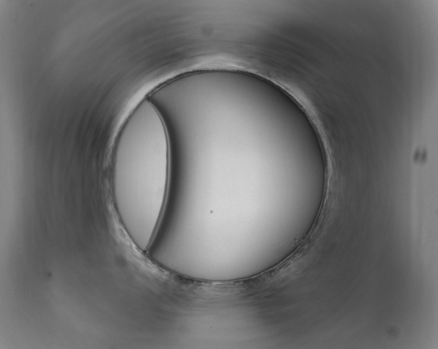 X0000111611008200907171035