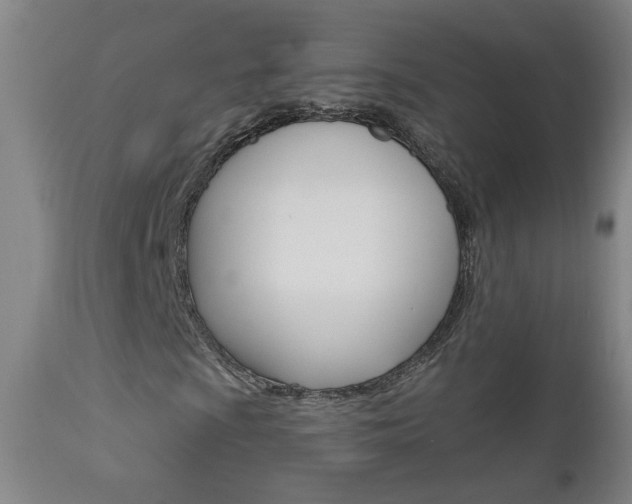 X0000111611009200907171034