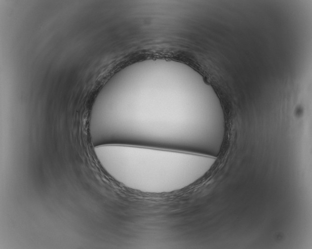 X0000111611010200907171034