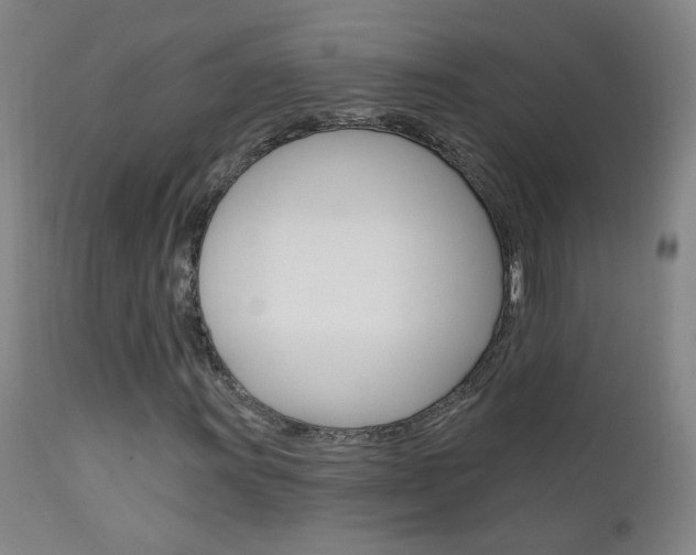 X0000111611011200907171034
