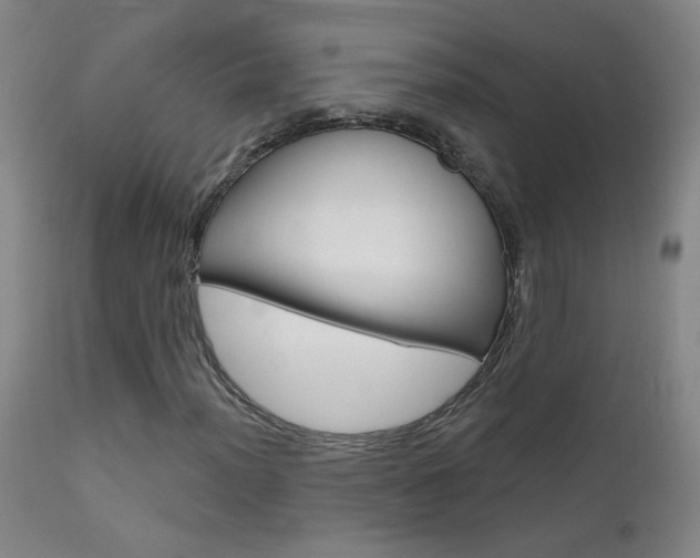 X0000111611012200907171034