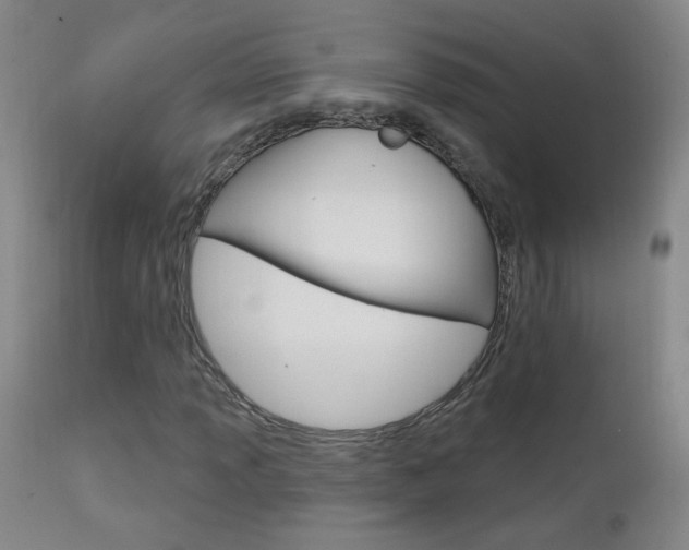 X0000111611013200907171034