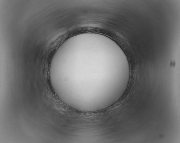 X0000111611014200907171034