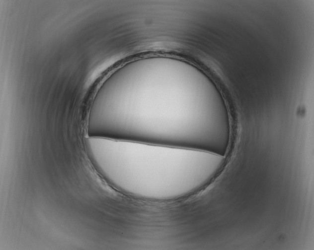 X0000111611018200907171035