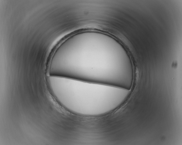 X0000111611020200907171035