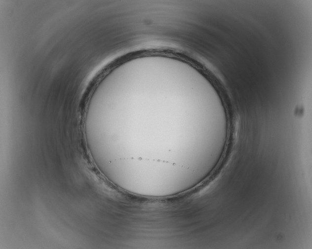 X0000111611021200907171035