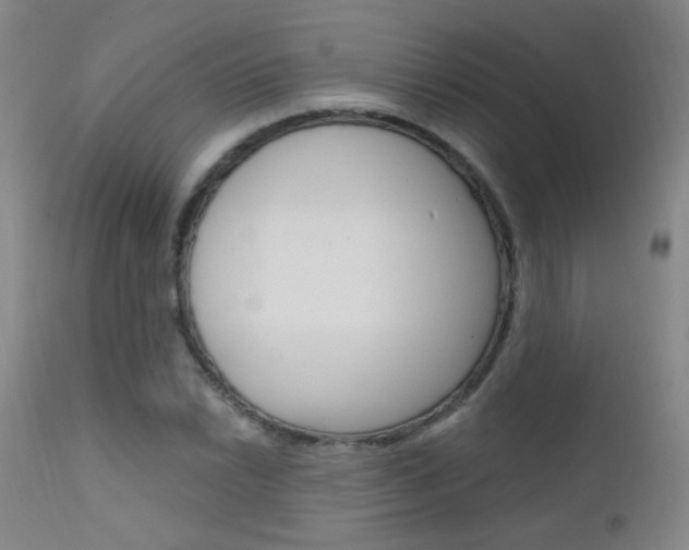 X0000111611022200907171035