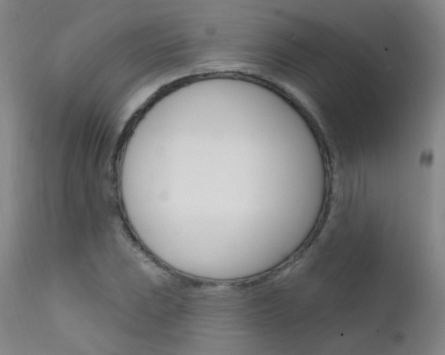 X0000111611023200907171035