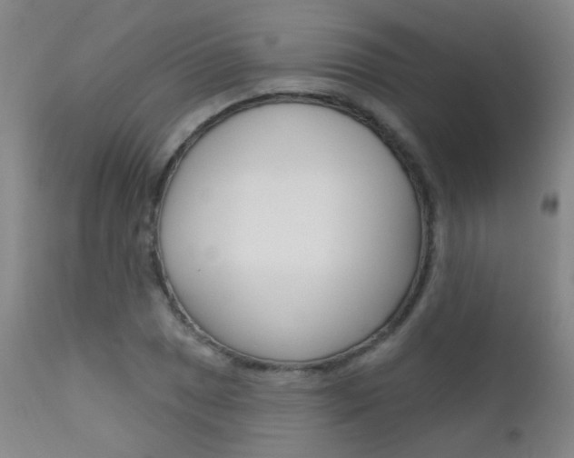 X0000111611025200907171035