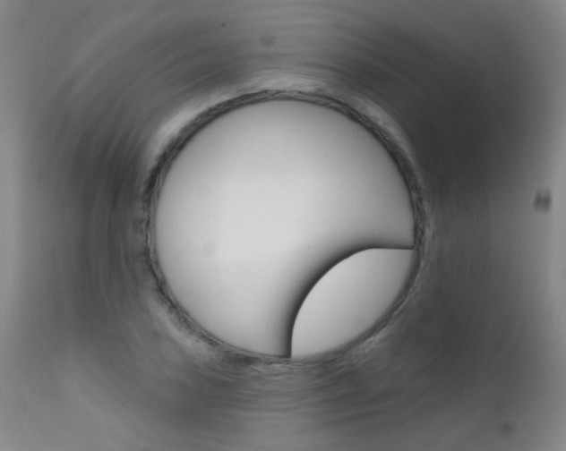 X0000111611027200907171035