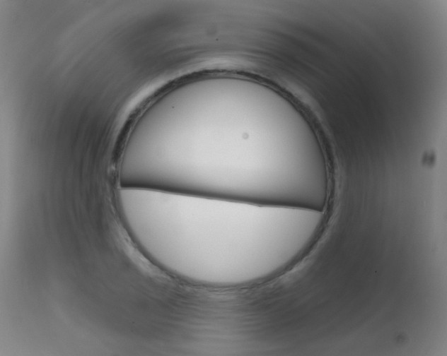X0000111611029200907171035