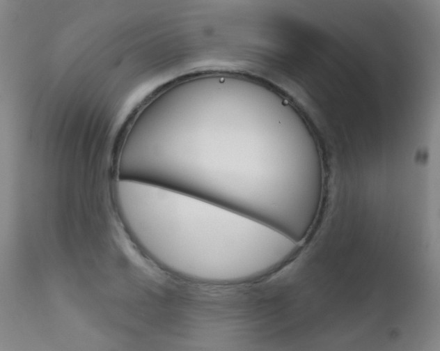 X0000111611030200907171035