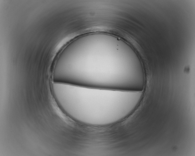 X0000111611034200907171035