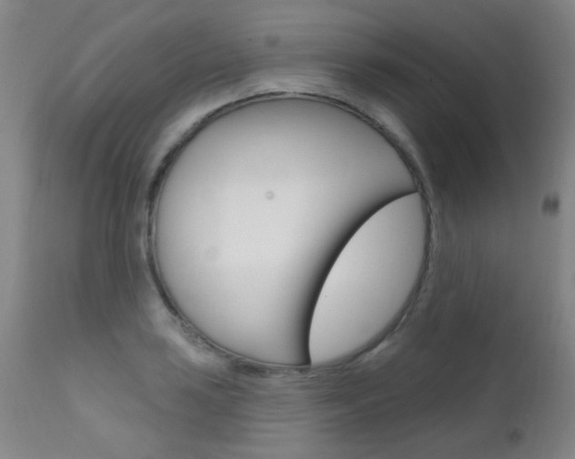 X0000111611035200907171035