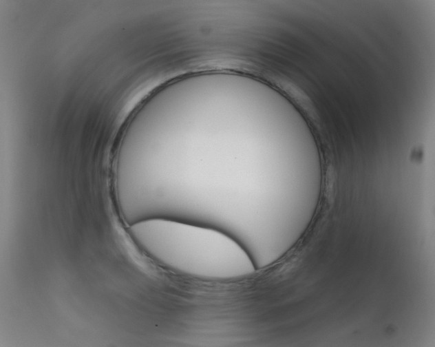 X0000111611039200907171035