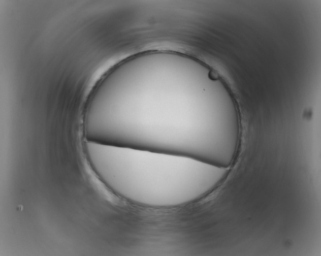 X0000111611040200907171035