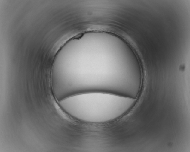 X0000111611041200907171035