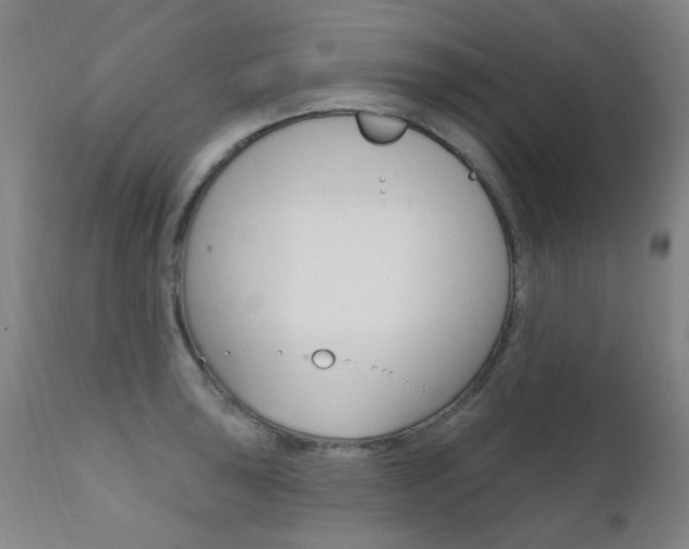 X0000111611043200907171035