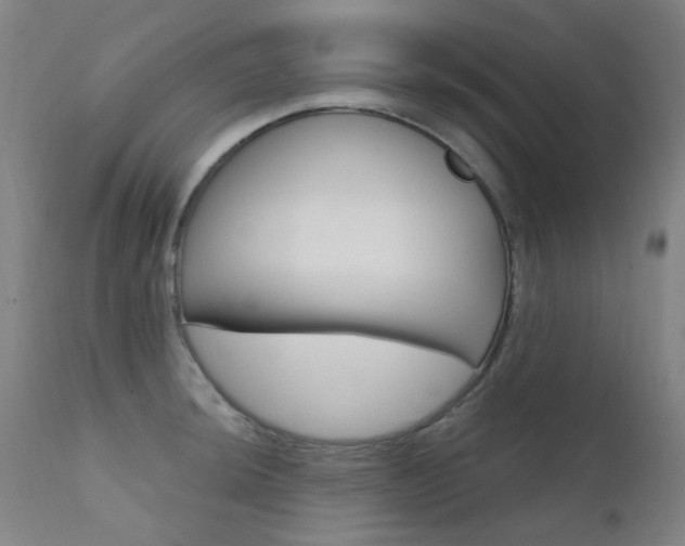 X0000111611044200907171035