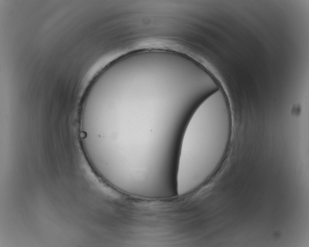X0000111611045200907171035