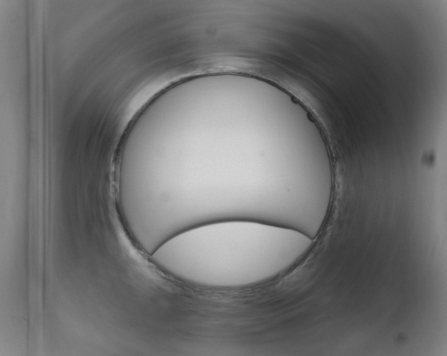X0000111611047200907171035