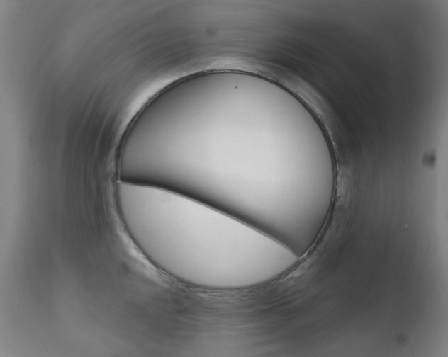 X0000111611048200907171035