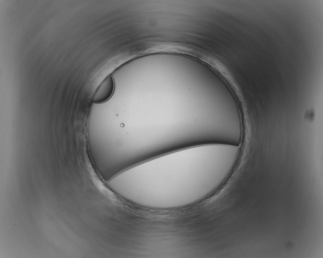 X0000111611049200907171035