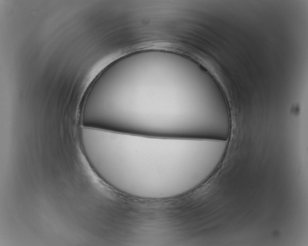 X0000111611050200907171035