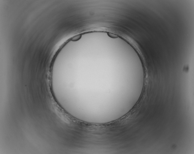 X0000111611051200907171035