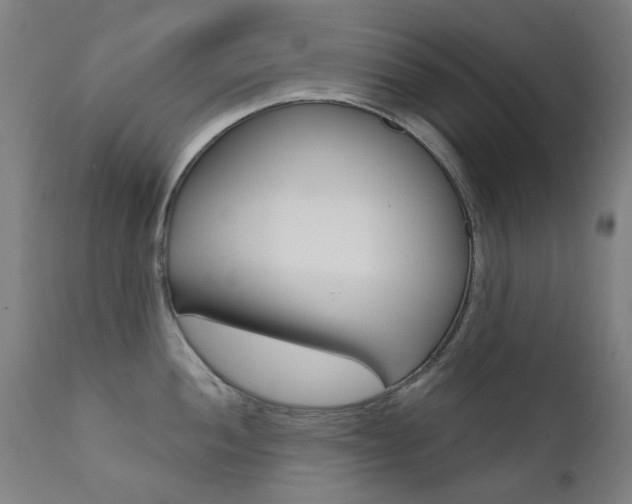 X0000111611052200907171035