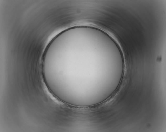 X0000111611053200907171035