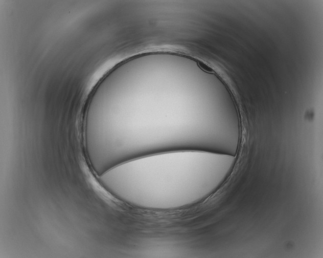 X0000111611054200907171035