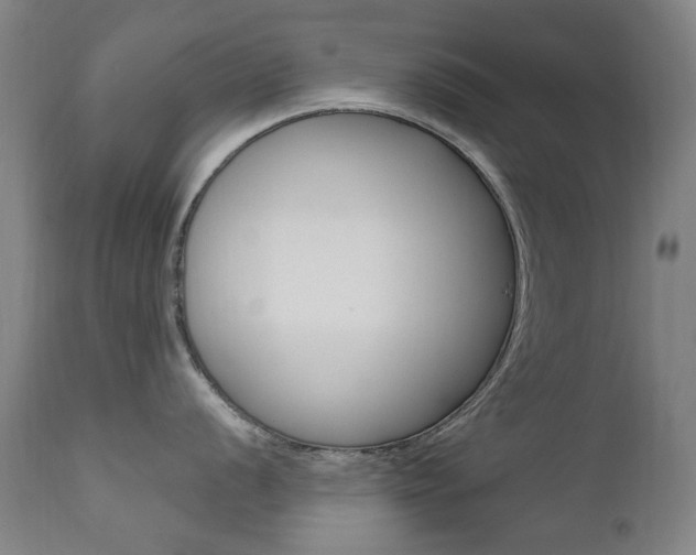 X0000111611056200907171035
