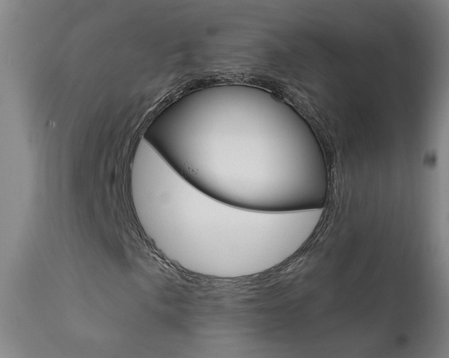 X0000111611057200907171034