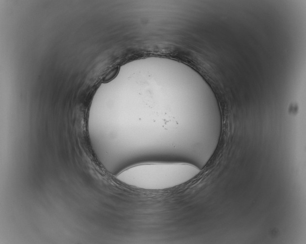 X0000111611058200907171034