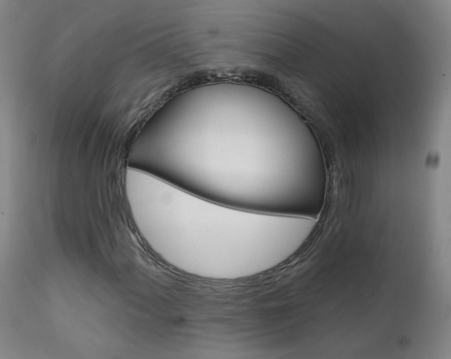 X0000111611060200907171034