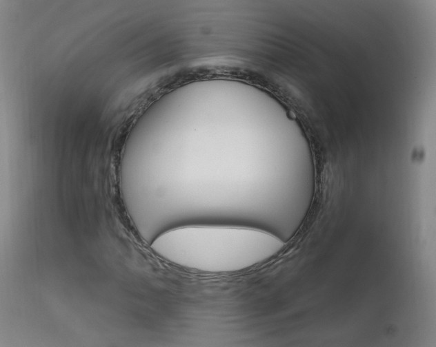 X0000111611062200907171034