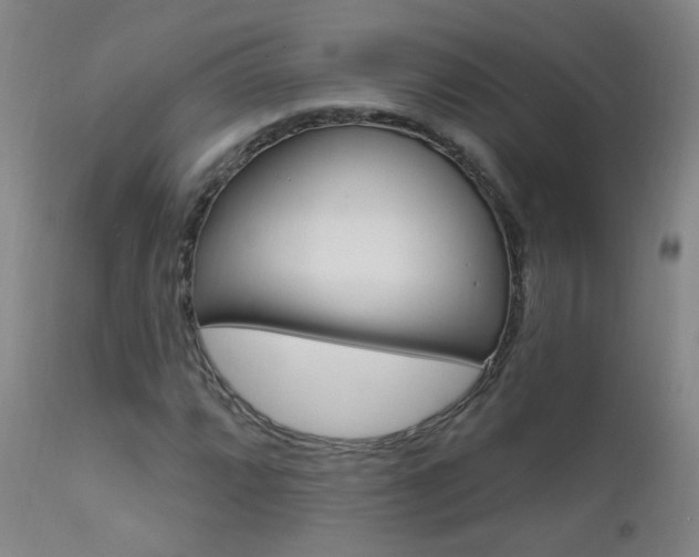 X0000111611064200907171034