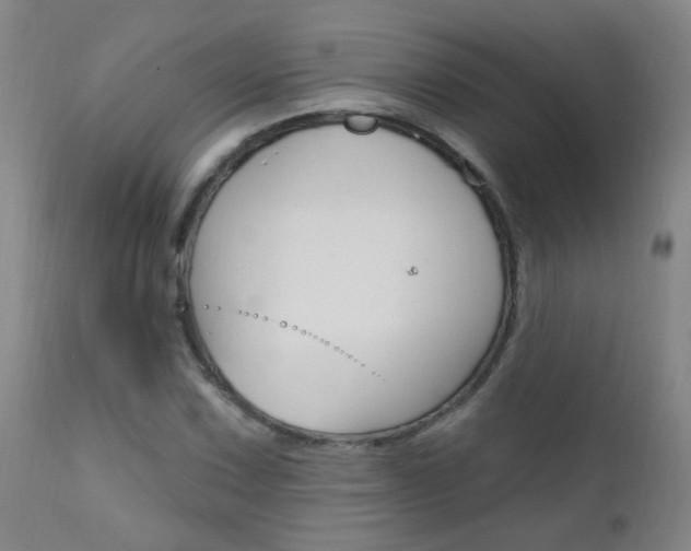 X0000111611067200907171034