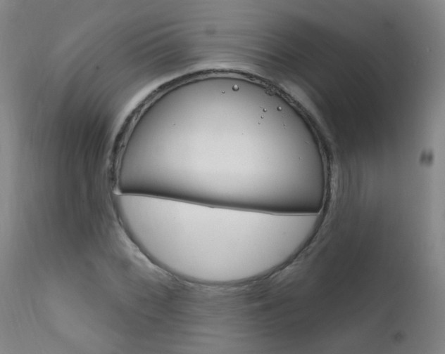 X0000111611068200907171034