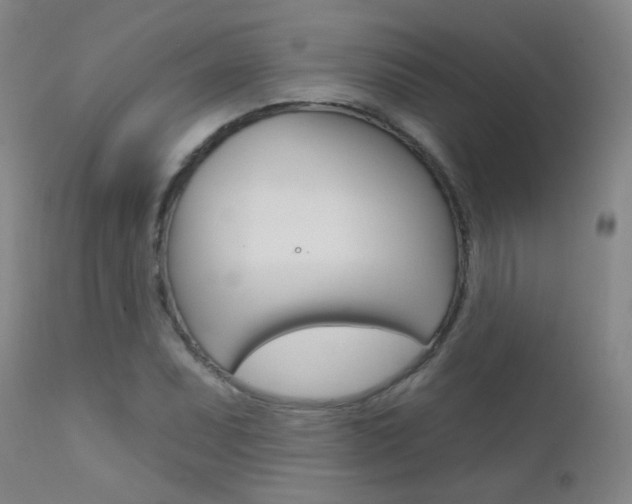X0000111611071200907171034