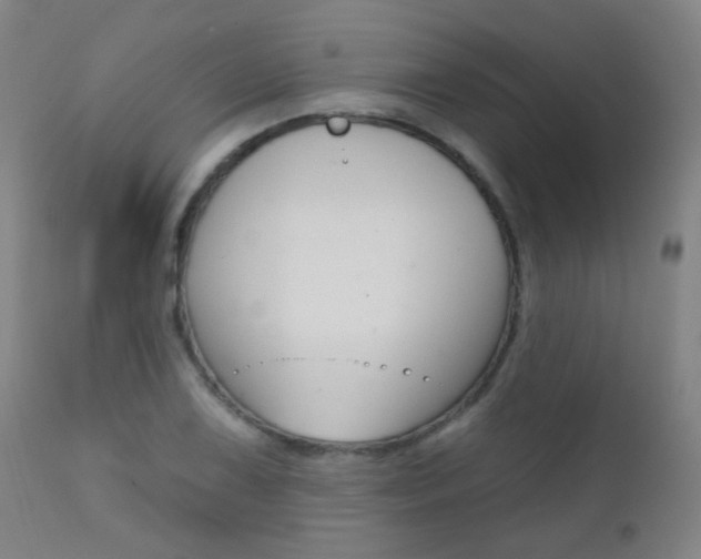 X0000111611075200907171034