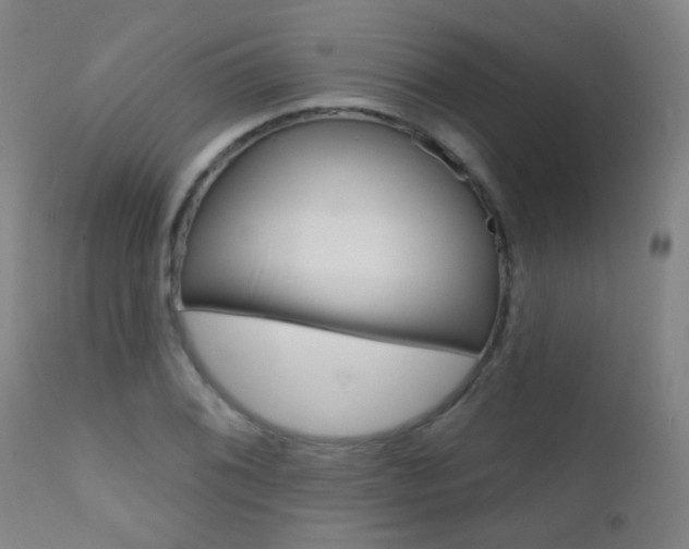 X0000111611076200907171034